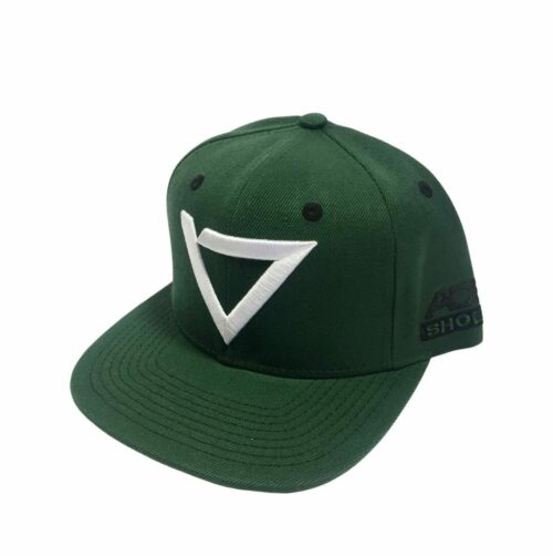 Logo Snapback